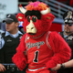 Image for article titled Benny The Bull Busted For Possession Of Unlicensed T-Shirt Gun